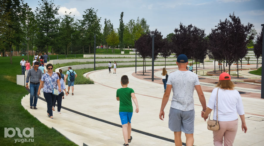  © Фото Елены Синеок, Юга.ру