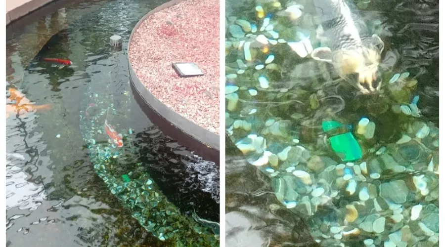  &copy;&nbsp;Скриншот из телеграм-канала &laquo;Парк Галицкого Краснодар&raquo; https://t.me/park_galitskogo/23824