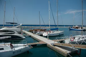  &copy;&nbsp;Фото Нины Зотиной, Юга.ру