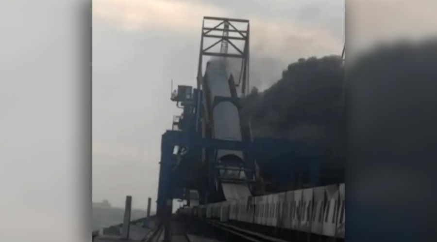  © Кадр из видео «Чистой Тамани», instagram.com/pristine_taman/