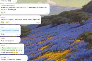  &copy;&nbsp;Скриншот из телеграм-канала &laquo;Супер новости Новороссийска&raquo; https://t.me/chat_novoross/601502