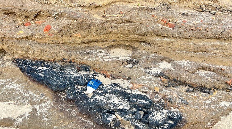  &copy;&nbsp;Скриншот фото из телеграм-канала штаба &laquo;Дельфины&raquo;