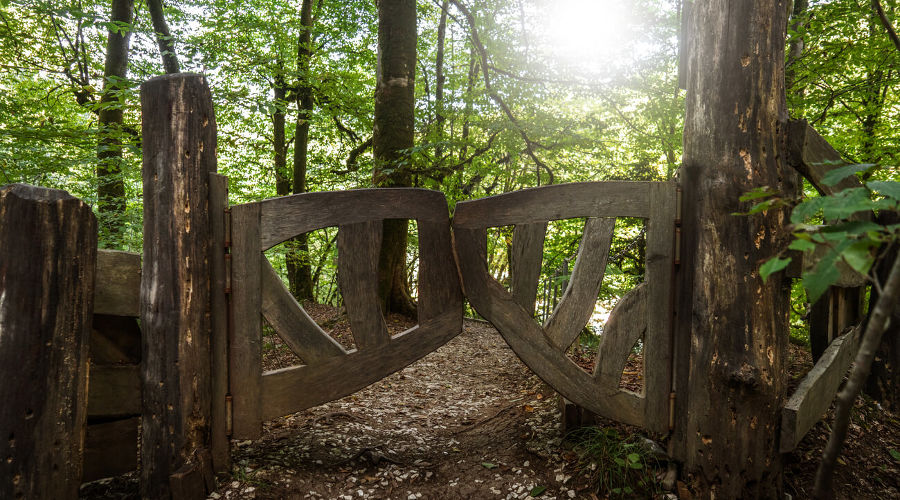 Сочинский национальный парк © Фото AmixStudio, freepik.com