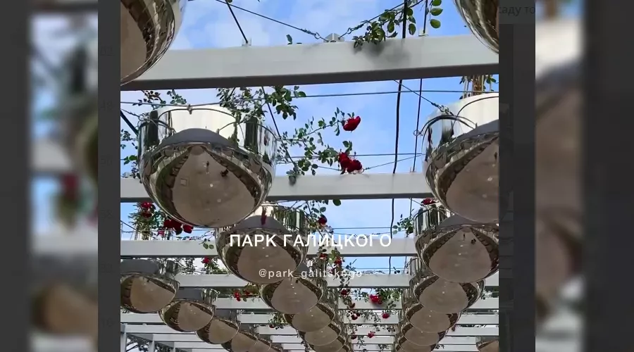  &copy;&nbsp;Скриншот из телеграмм-канала &laquo;Парк Галицкого Краснодар&raquo; https://t.me/park_galitskogo/15900