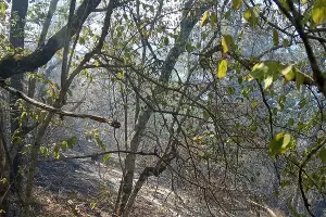  &copy;&nbsp;Фото Максима Ребеченко