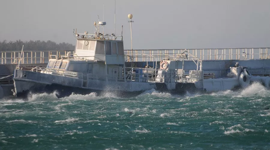  &copy;&nbsp;Фото Елены Синеок, Юга.ру