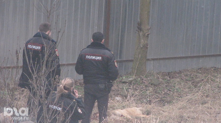  &copy;&nbsp;Фото очевидца