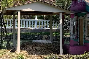  &copy;&nbsp;Фото Оксаны Тимченко, пресс-служба Кавказского заповедника