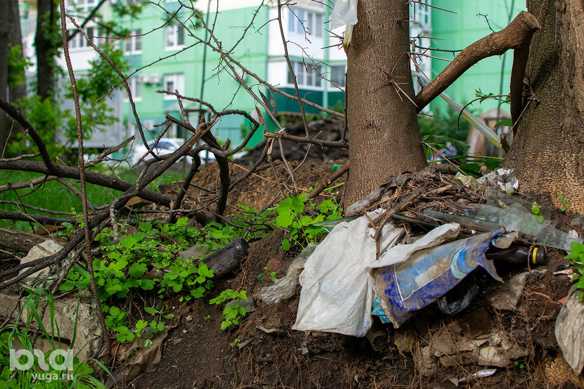 Вокруг долгостроя на Карякина так привыкли к зарослям и строительному мусору, что с благоустройством не спешат © Фото Александра Гончаренко, Юга.ру