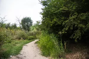 Большой остров &copy;&nbsp;Фото Елены Синеок, Юга.ру