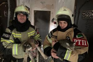  © Фото пресс-службы ГУ МЧС по Республике Чечня