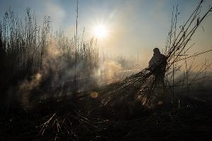  © Фото Каси Кульковой