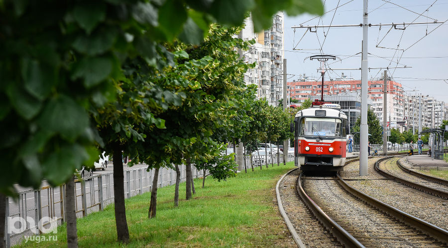  © Фото Елены Синеок, Юга.ру