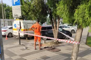  &copy;&nbsp;Фото из телеграм-канала &laquo;Туподар&raquo;, https://t.me/typodar