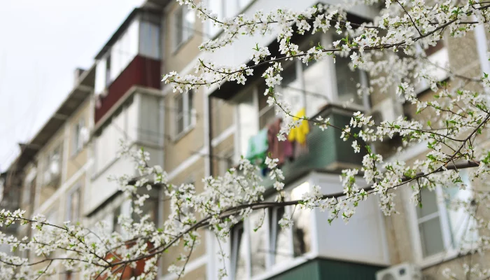 «Ставим пять»