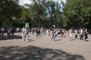 Пикет 10 августа &copy;&nbsp;Фото Дмитрия Пославского, Юга.ру