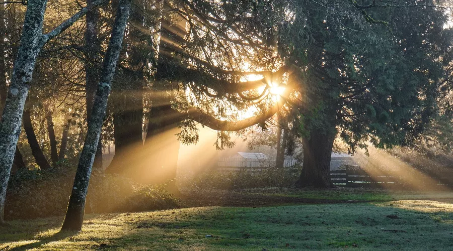  &copy;&nbsp;Фото Free-Photos с сайта pixabay.com