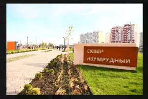  &copy;&nbsp;Скриншот фото из телеграм-канала &laquo;KRD.ru&raquo;