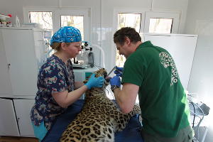  © Фото пресс-службы Сочинского нацпарка