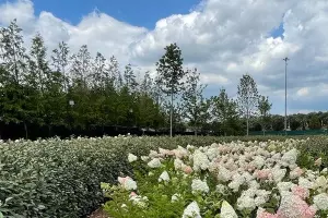  &copy;&nbsp;Фото из телеграм-канала t.me/edinakgardens