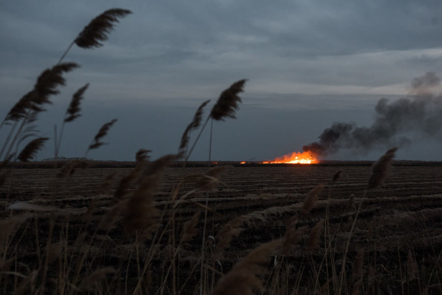 МЧС предупредило о пожароопасности на Ставрополье, в Ингушетии и Карачаево-Черкесии