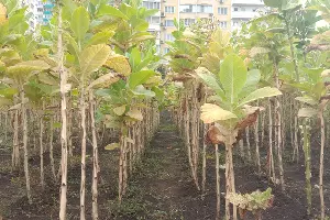  &copy;&nbsp;Фото Яры Гуляевой, Юга.ру