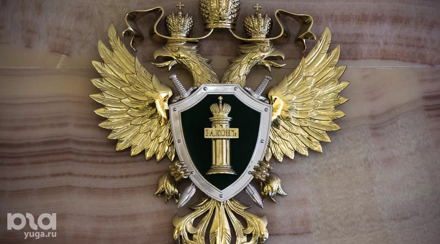  &copy;&nbsp;Фото Елены Синеок, Юга.ру