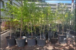  &copy;&nbsp;Скриншот из телеграм-канала депутата ЗСК Алексея Аксенова https://t.me/aksenov_aleksei_a/3475