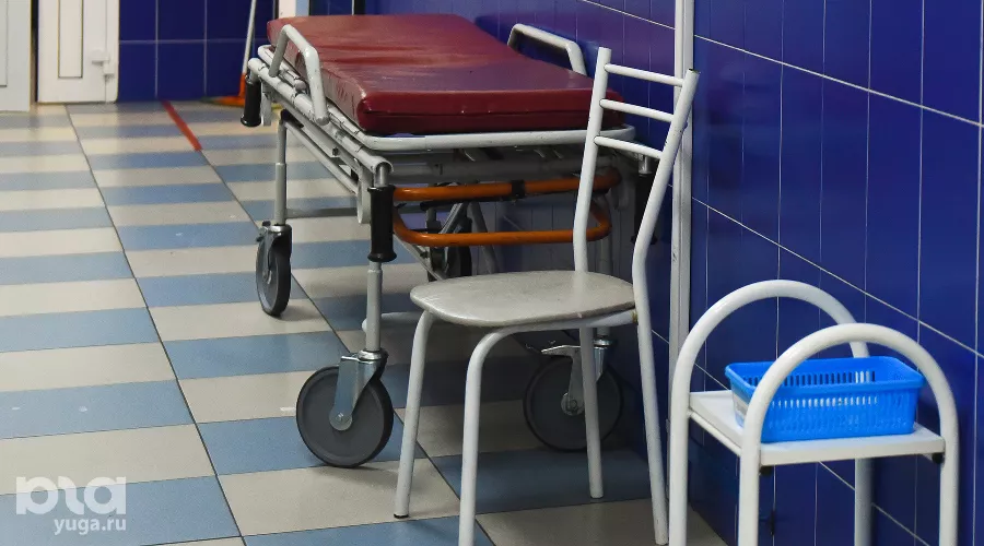  &copy;&nbsp;Фото Елены Синеок, Юга.ру