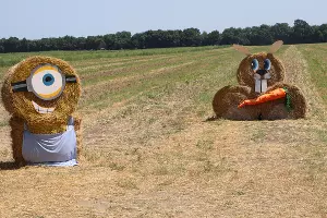  &copy;&nbsp;Фото пресс-службы Тбилисского района
