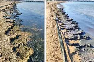  &copy;&nbsp;Коллаж из скриншотов фото из телеграм-канала &laquo;МАКОВОЗОВЫ&raquo;