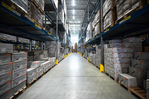 Открытие логистического комплекса компании Stihl в Краснодаре © Фото Елены Синеок, Юга.ру