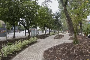  &copy;&nbsp;Фото пресс-службы администрации Краснодара