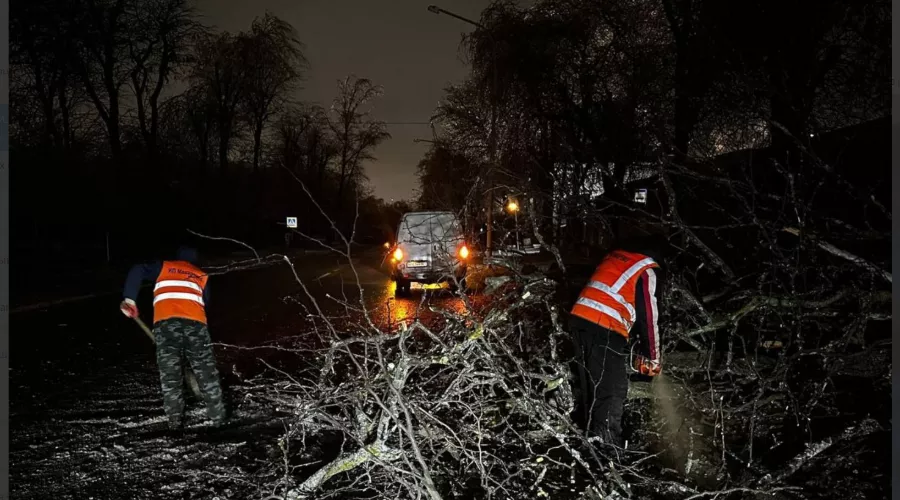  &copy;&nbsp;Скриншот из телеграм-канала мэрии Ростова-на-Дону https://t.me/Rostov_Gorod_Admin/6121