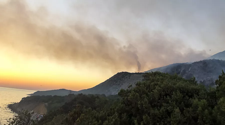 Пожар в заповеднике «Утриш» &copy;&nbsp;Фото Виталия Кавтарадзе