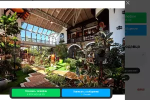  &copy;&nbsp;Скриншот с сайта avito.ru
