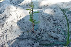  &copy;&nbsp;Фото пресс-службы министерства природных ресурсов Краснодарского Края