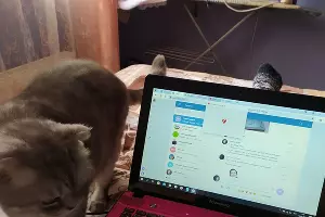  &copy;&nbsp;Фото Юга.ру