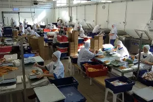 Цех по упаковке адыгейского сыра &copy;&nbsp;Фото Юга.ру
