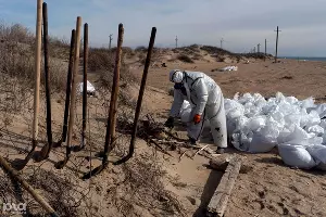  &copy;&nbsp;Фото Полины Безверхой, Юга.ру