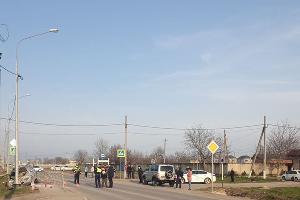  © Фото Галины Волосник для Юга.ру