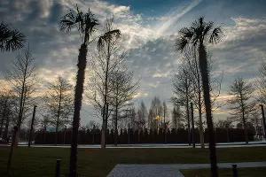 Парк «Краснодар» &copy;&nbsp;Фото Елены Синеок, Юга.ру