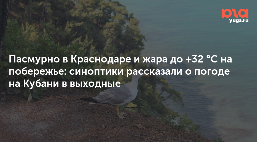 Пасмурно в Краснодаре и жара до +32 °C на побережье: синоптики рассказали о погоде на Кубани в выходные