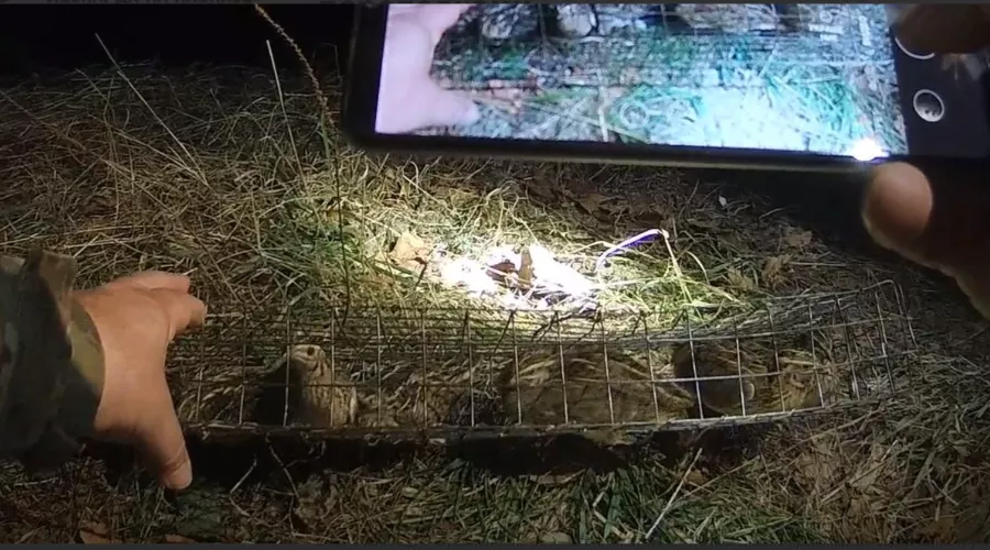  &copy;&nbsp;Скриншот с сайта Сочинского нацпарка https://npsochi.ru/news/pryamikom-v-seti-pravosudiya-gosinspektory-sochinskogo-natsionalnogo-parka-zaderzhali-narushiteley-s/