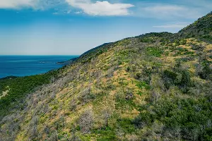  &copy;&nbsp;Фото Антона Быкова, Юга.ру