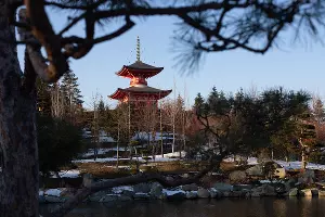  &copy;&nbsp;Фото Марии Журавлевой