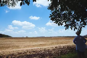  &copy;&nbsp;Фото Амины Ибрагимовой, Юга.ру