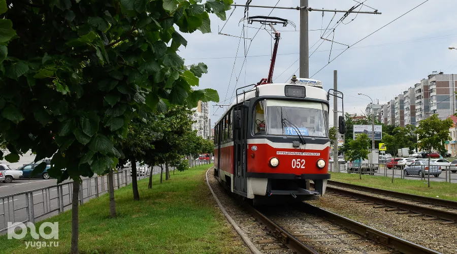  &copy;&nbsp;Фото Елены Синеок, Юга.ру