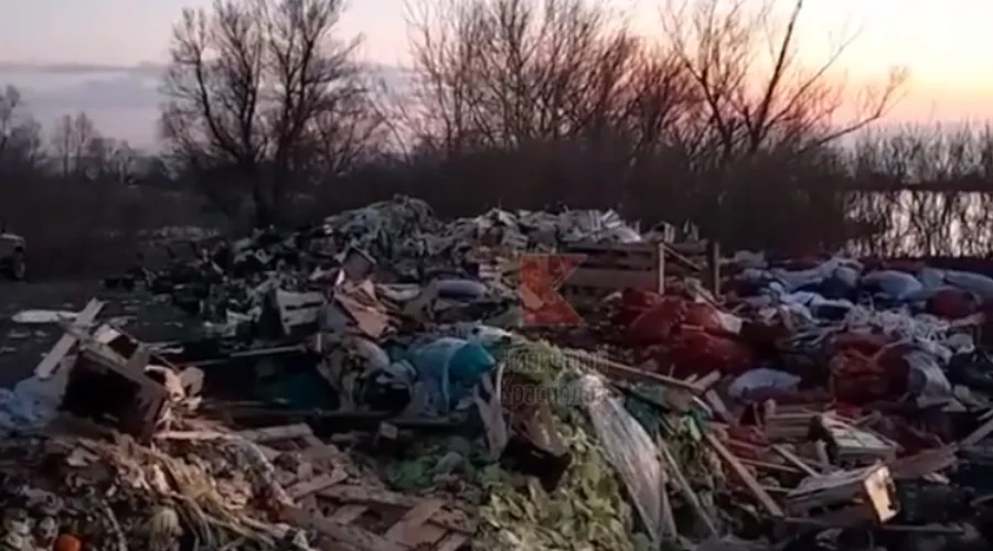  &copy;&nbsp;Кадр из видео телеграм-канала &laquo;Типичный Краснодар&raquo;, T.me/s/krd_tipich_ru