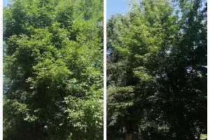  &copy;&nbsp;Фото предоставлено Юга.ру жительницей дома на улице Авиагородок, 5